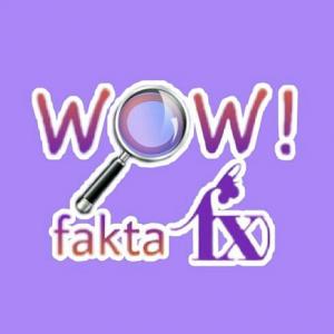 Wowfakta F(X)